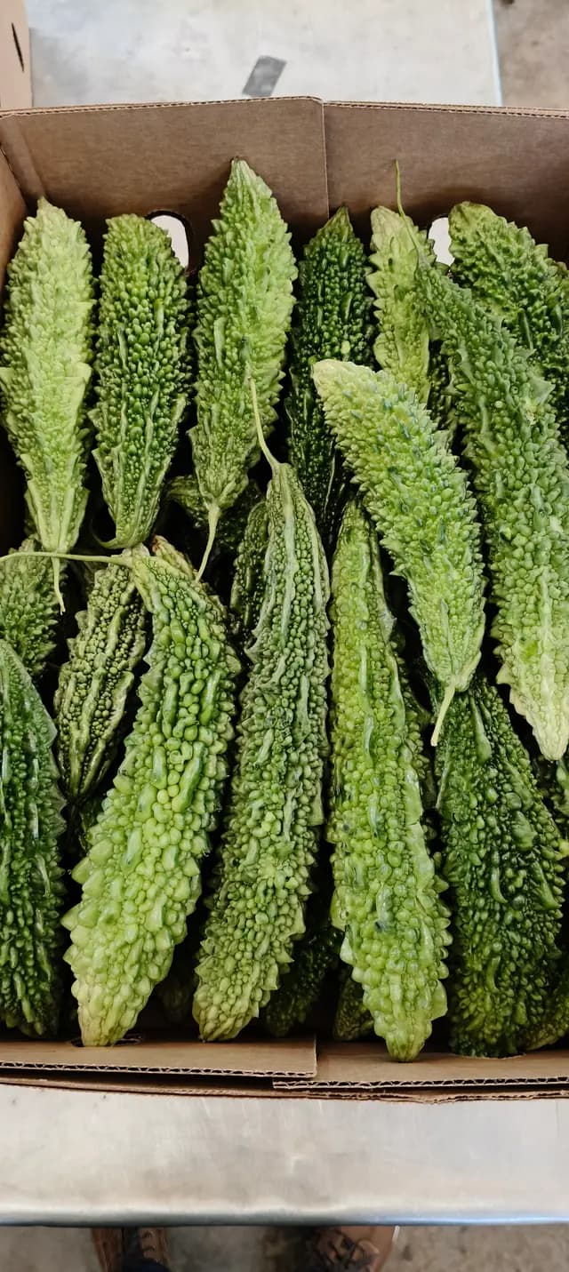 Karela