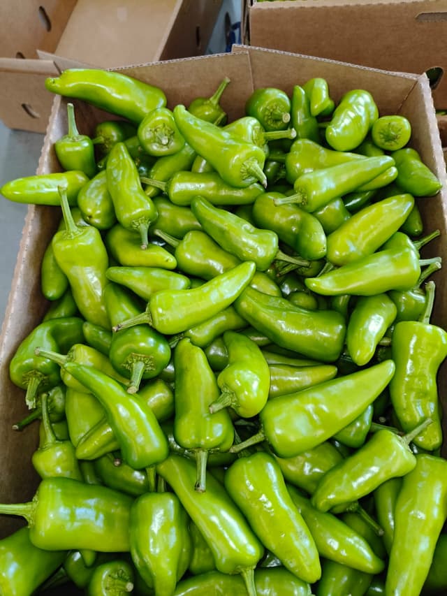 Green Freshno